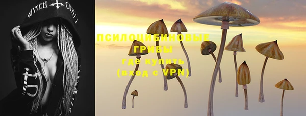 MDMA Богородск