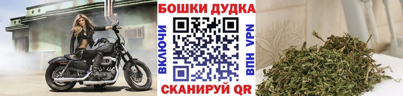 продажа наркотиков  Ульяновск  нарко площадка наркотические препараты  Бошки марихуана OG Kush 